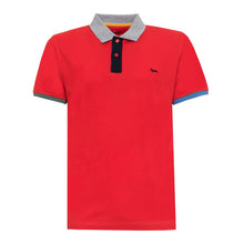 Load image into Gallery viewer, HARMONT&amp;BLAINE - MAN - POLO SHIRTS - L00A62
