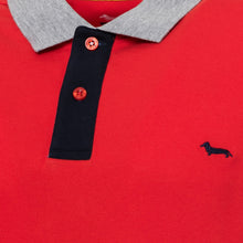 Load image into Gallery viewer, HARMONT&amp;BLAINE - MAN - POLO SHIRTS - L00A62
